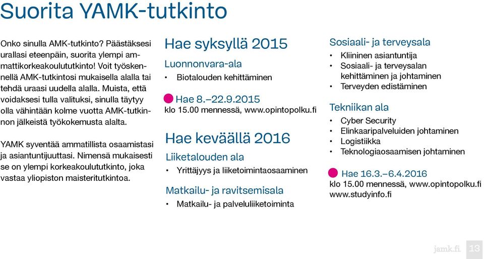 Muista, että voidaksesi tulla valituksi, sinulla täytyy olla vähintään kolme vuotta AMK-tutkinnon jälkeistä työkokemusta alalta. YAMK syventää ammatillista osaamistasi ja asiantuntijuuttasi.