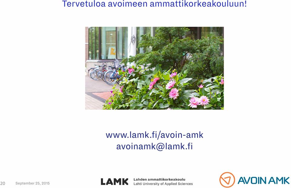 www.lamk.