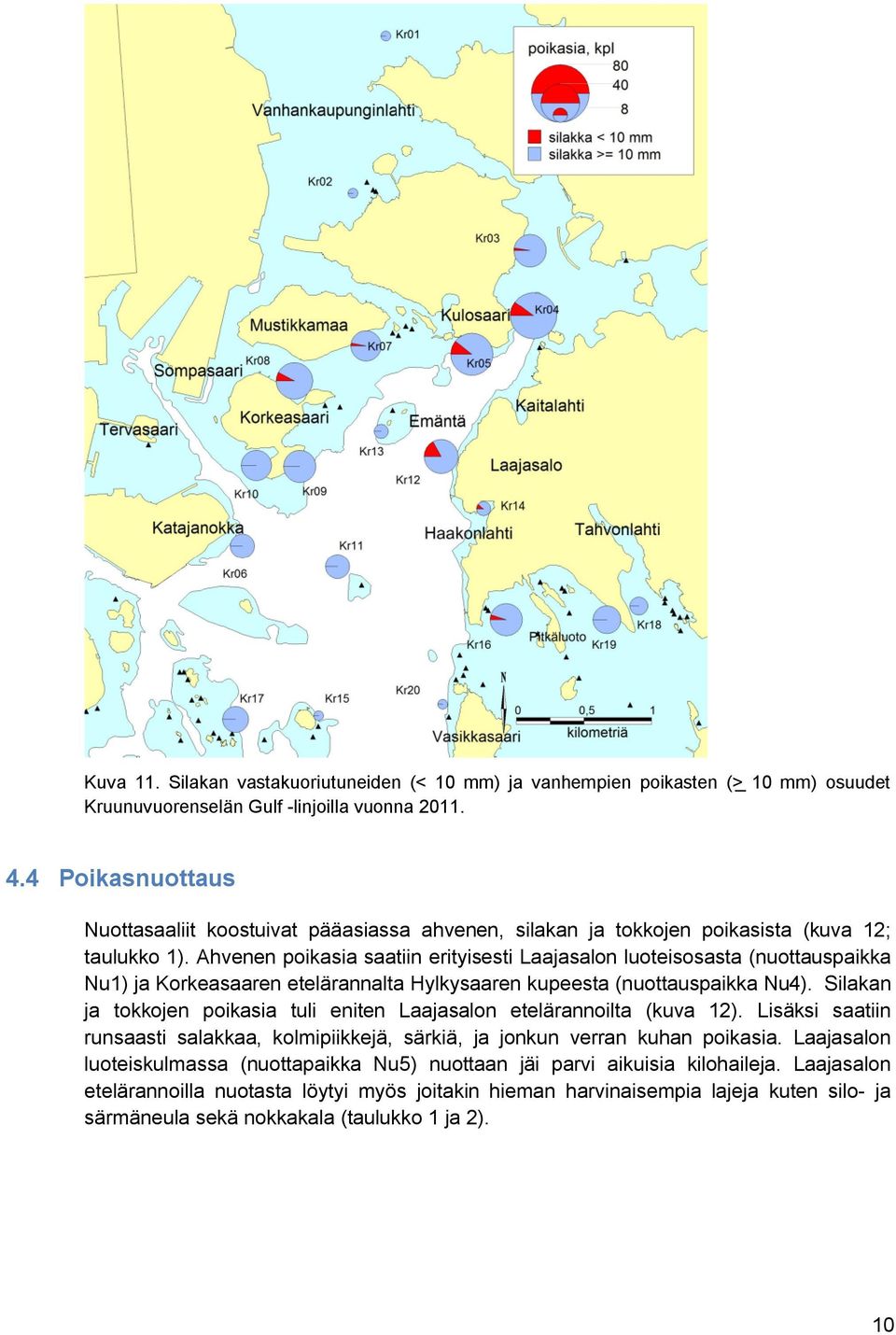 Ahvenen poikasia saatiin erityisesti Laajasalon luoteisosasta (nuottauspaikka Nu) ja Korkeasaaren etelärannalta Hylkysaaren kupeesta (nuottauspaikka Nu).