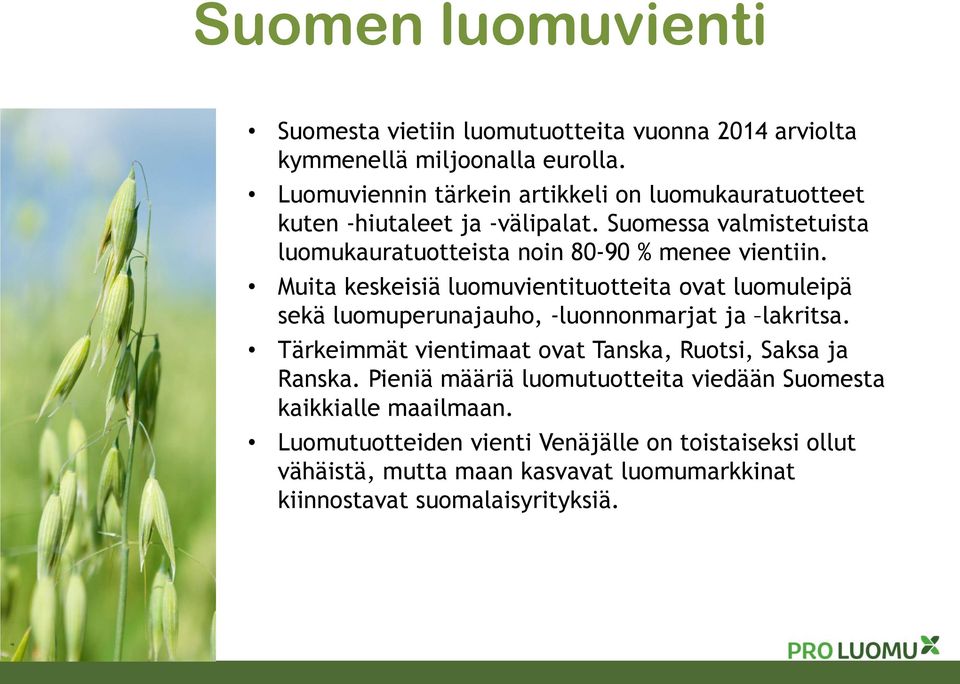 Suomessa valmistetuista luomukauratuotteista noin 80-90 % menee vientiin.
