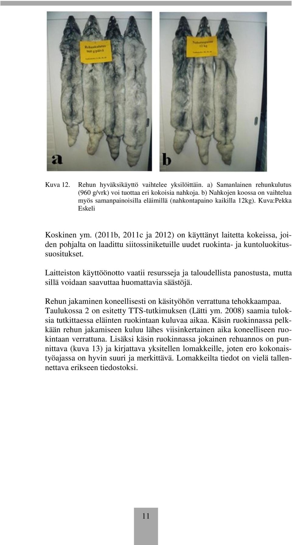 (2011b, 2011c ja 2012) on käyttänyt laitetta kokeissa, joiden pohjalta on laadittu siitossiniketuille uudet ruokinta- ja kuntoluokitussuositukset.