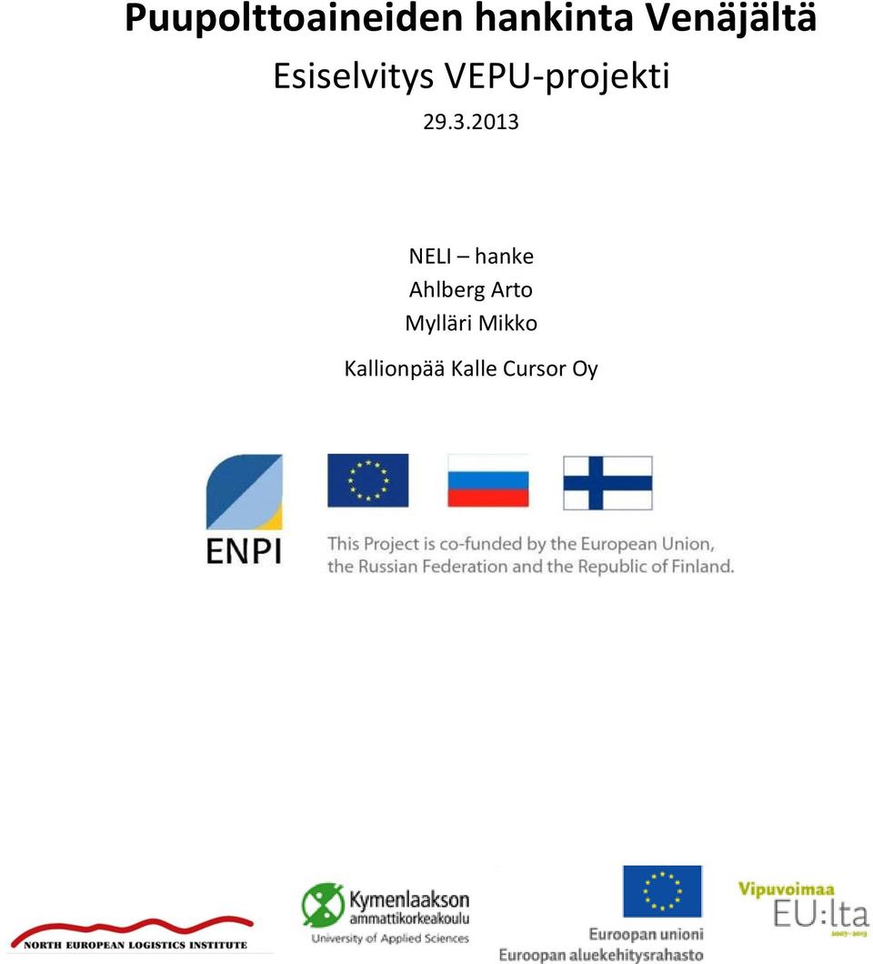 VEPU-projekti 29.3.