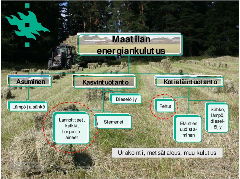 Siemenet Eläinten uudistaminen Sähkö, lämpö, dieselöljy Urakointi,