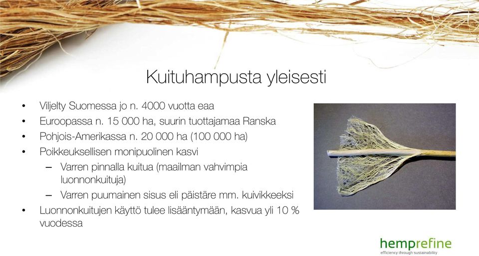 20 000 ha (100 000 ha) Poikkeuksellisen monipuolinen kasvi Varren pinnalla kuitua (maailman