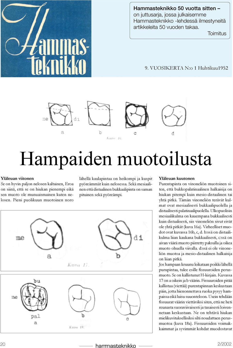 Pieni puolikuun muotoinen noro lähellä kaulapintaa on heikompi ja kuspit pyöreämmät kuin nelosessa. Sekä mesiaalinen että distaalinen bukkaalipinta on saman pituinen sekä pyöreämpi.