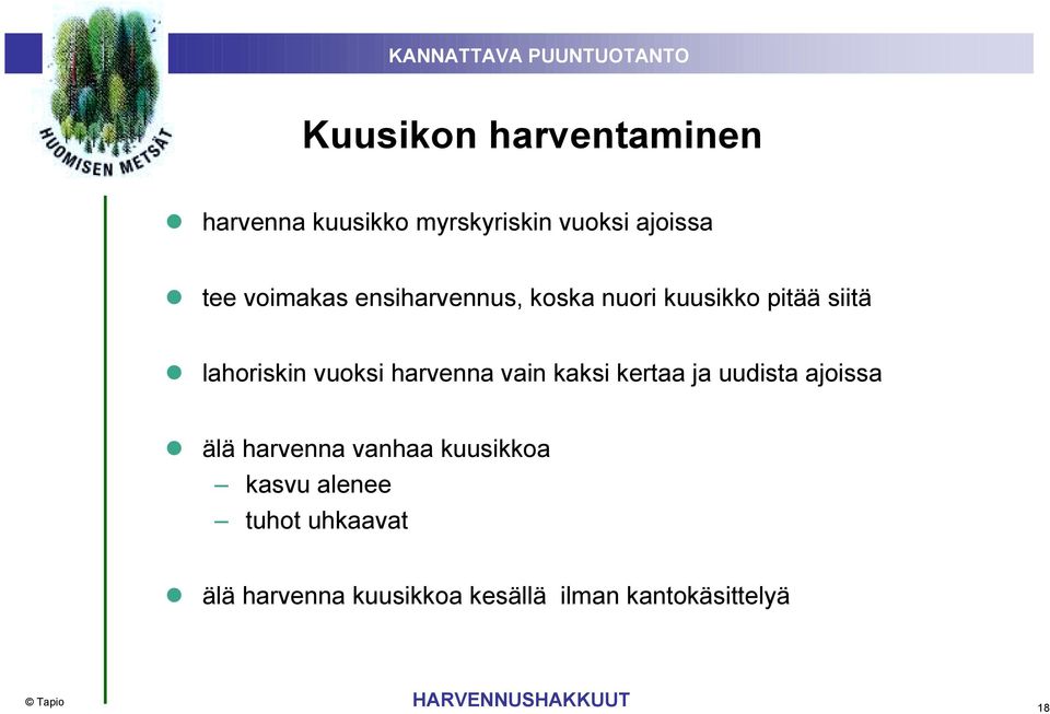 harvenna vain kaksi kertaa ja uudista ajoissa älä harvenna vanhaa kuusikkoa