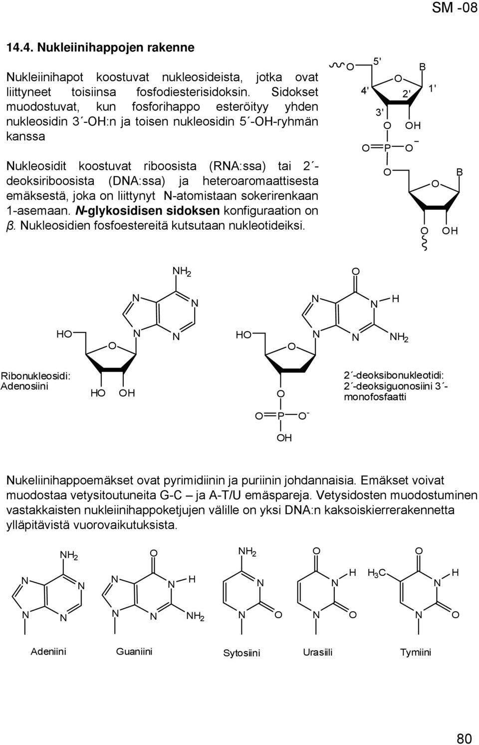 heteroaromaattisesta emäksestä, joka on liittynyt -atomistaan sokerirenkaan 1-asemaan. -glykosidisen sidoksen konfiguraation on β. ukleosidien fosfoestereitä kutsutaan nukleotideiksi.