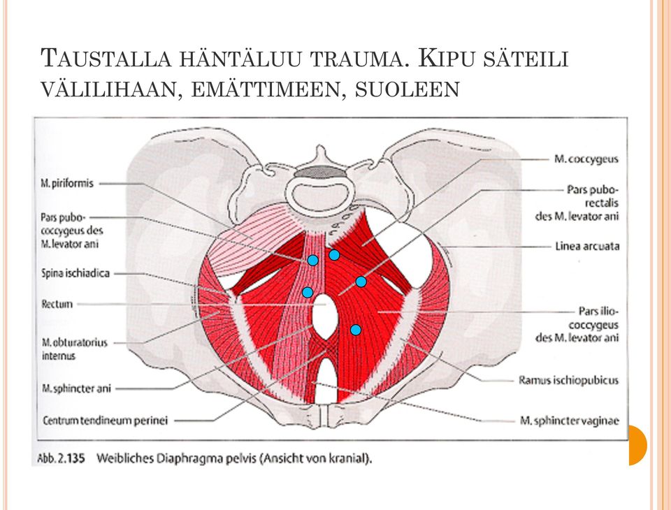 KIPU SÄTEILI