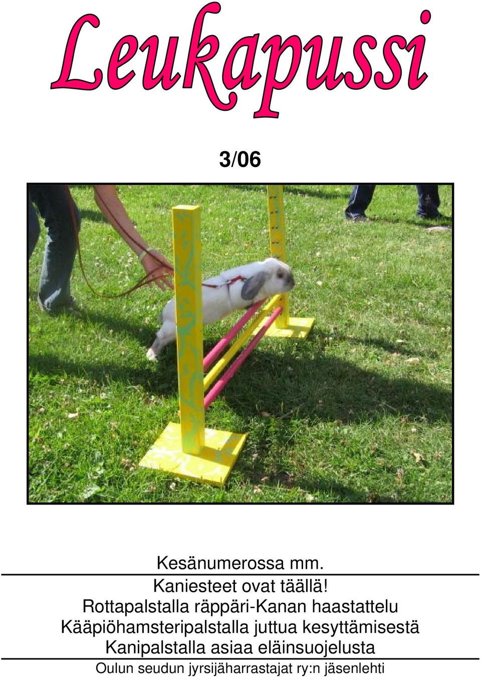 Kääpiöhamsteripalstalla juttua kesyttämisestä