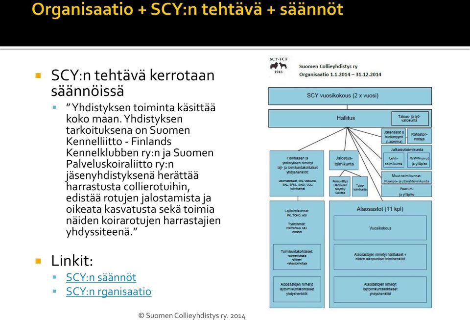 Palveluskoiraliitto ry:n jäsenyhdistyksenä herättää harrastusta collierotuihin, edistää rotujen