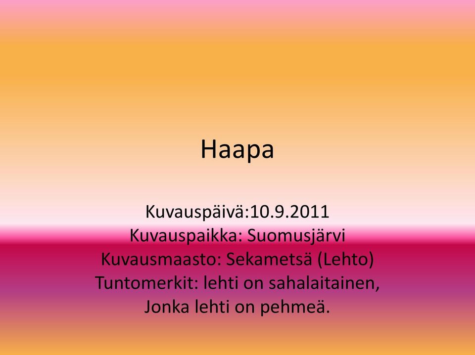Kuvausmaasto: Sekametsä (Lehto)