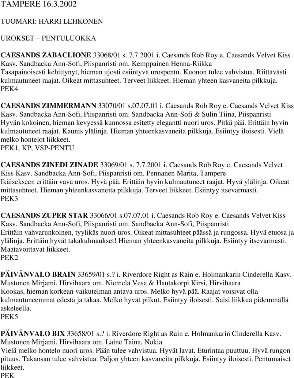 Hieman yhteen kasvaneita pilkkuja. PEK4 CAESANDS ZIMMERMANN 33070/01 s.07.07.01 i. Caesands Rob Roy e. Caesands Velvet Kiss Kasv. Sandbacka Ann-Sofi, Piispanristi om.