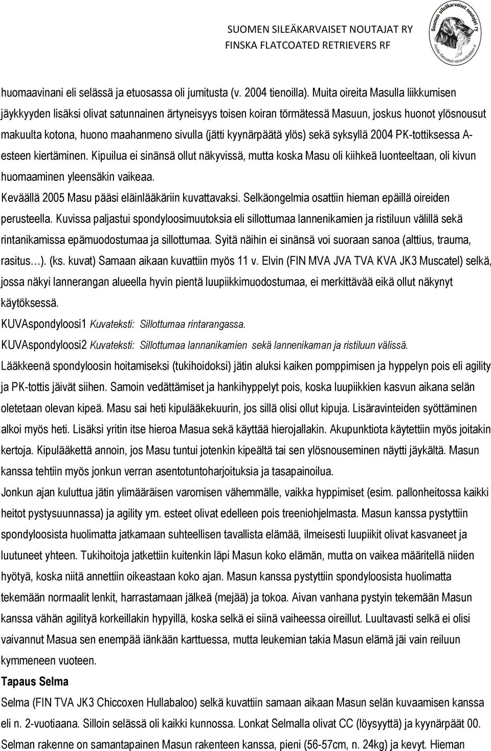 kyynärpäätä ylös) sekä syksyllä 2004 PK-tottiksessa A- esteen kiertäminen. Kipuilua ei sinänsä ollut näkyvissä, mutta koska Masu oli kiihkeä luonteeltaan, oli kivun huomaaminen yleensäkin vaikeaa.