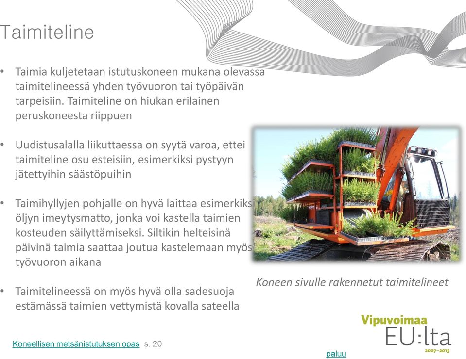 säästöpuihin Taimihyllyjen pohjalle on hyvä laittaa esimerkiksi öljyn imeytysmatto, jonka voi kastella taimien kosteuden säilyttämiseksi.
