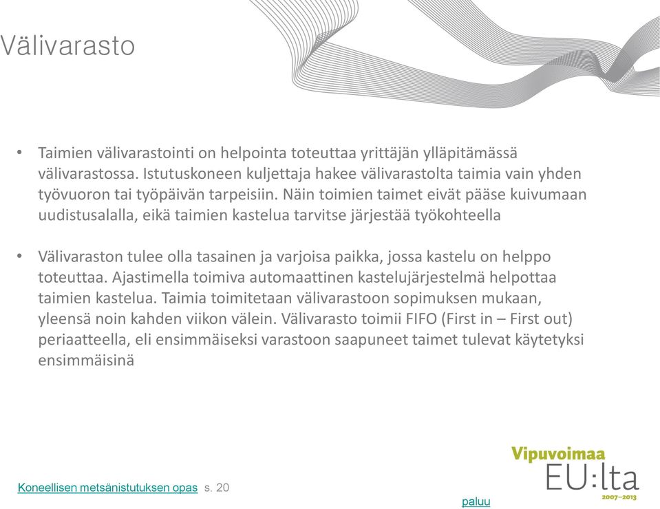 Näin toimien taimet eivät pääse kuivumaan uudistusalalla, eikä taimien kastelua tarvitse järjestää työkohteella Välivaraston tulee olla tasainen ja varjoisa paikka, jossa kastelu on