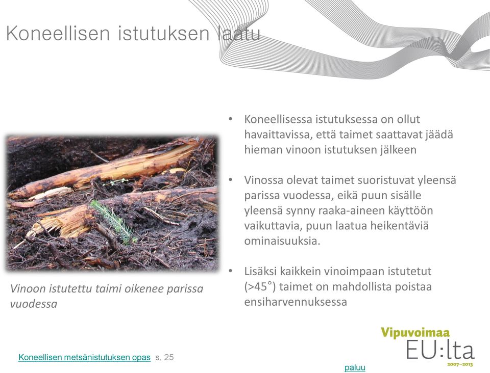 raaka-aineen käyttöön vaikuttavia, puun laatua heikentäviä ominaisuuksia.