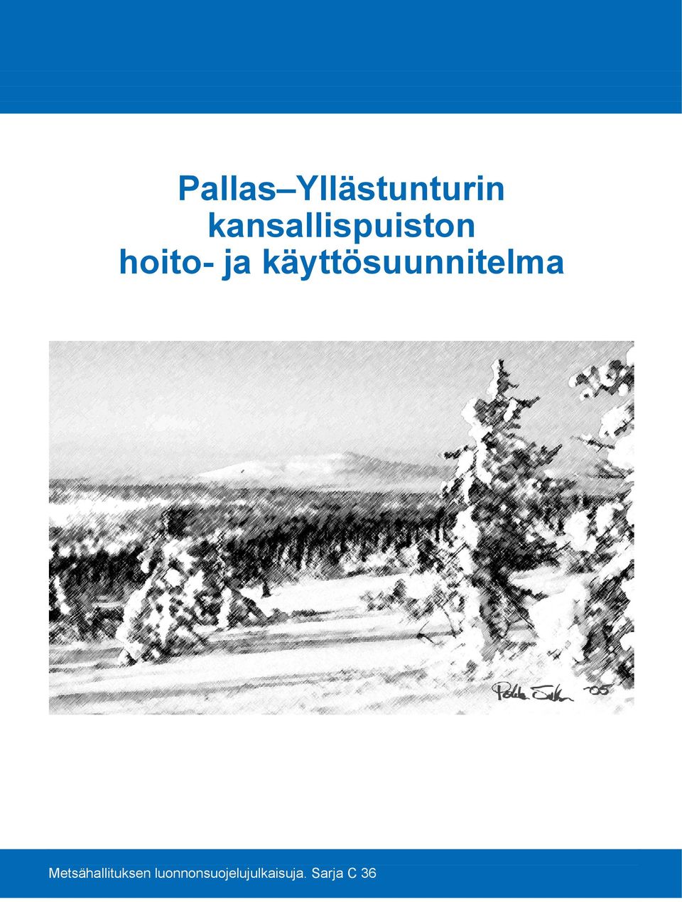 käyttösuunnitelma