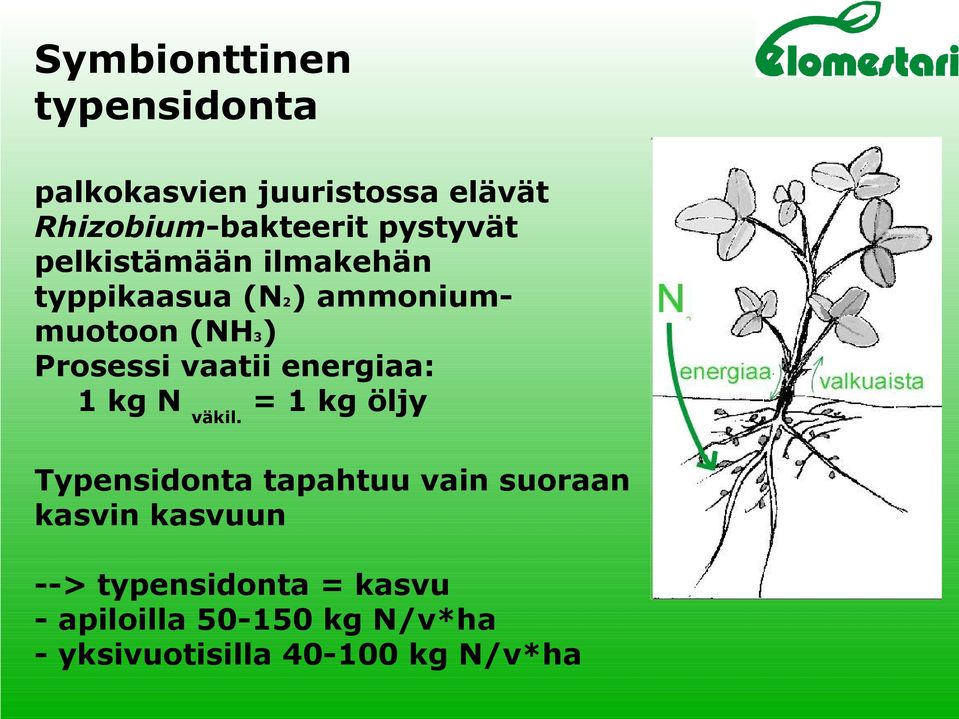 typpikaasua (N2) ammoniummuotoon (NH3) Prosessi vaatii energiaa: 1 kg N väkil.