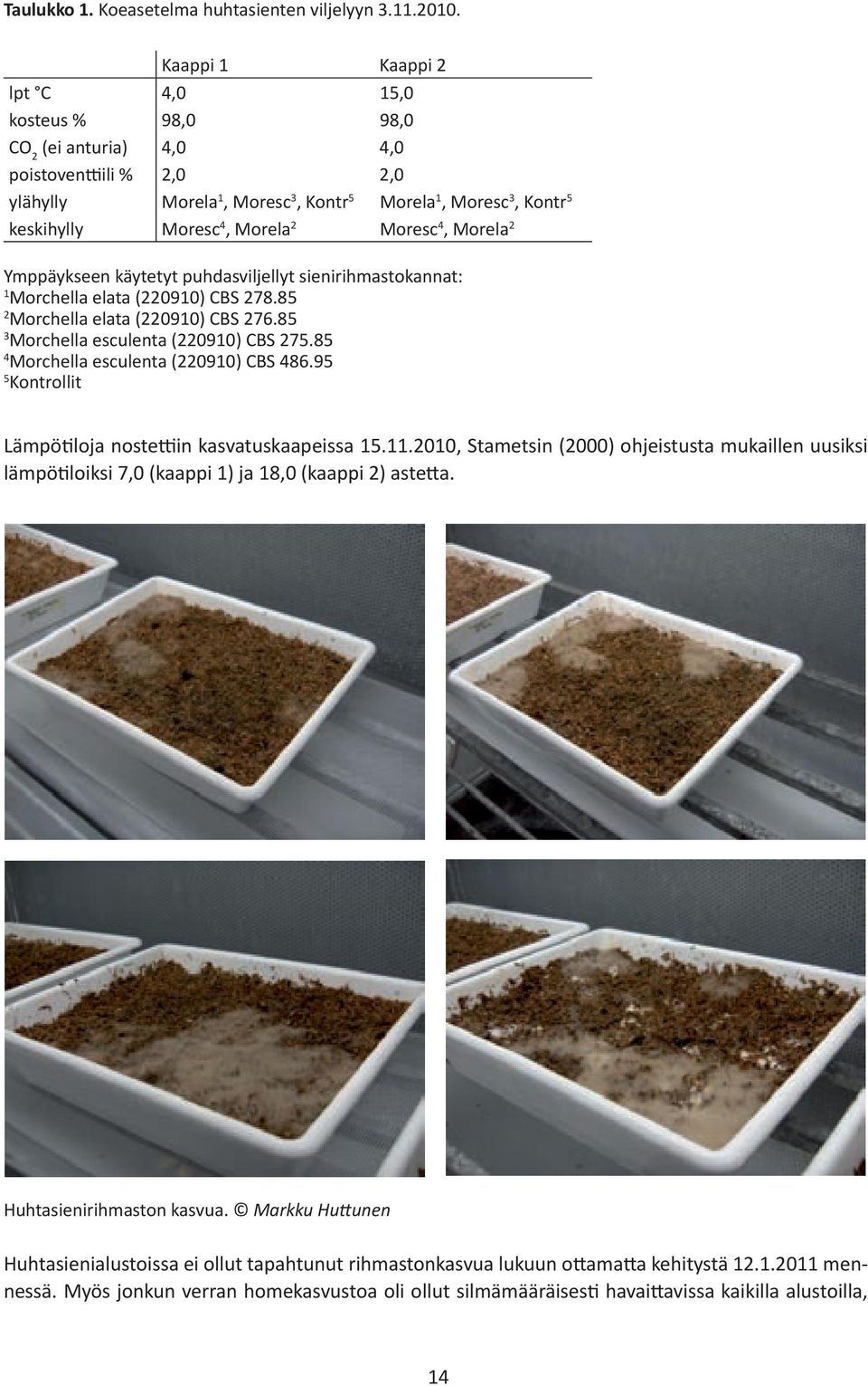 Moresc 4, Morela 2 Ymppäykseen käytetyt puhdasviljellyt sienirihmastokannat: 1 Morchella elata (220910) CBS 278.85 2 Morchella elata (220910) CBS 276.85 3 Morchella esculenta (220910) CBS 275.