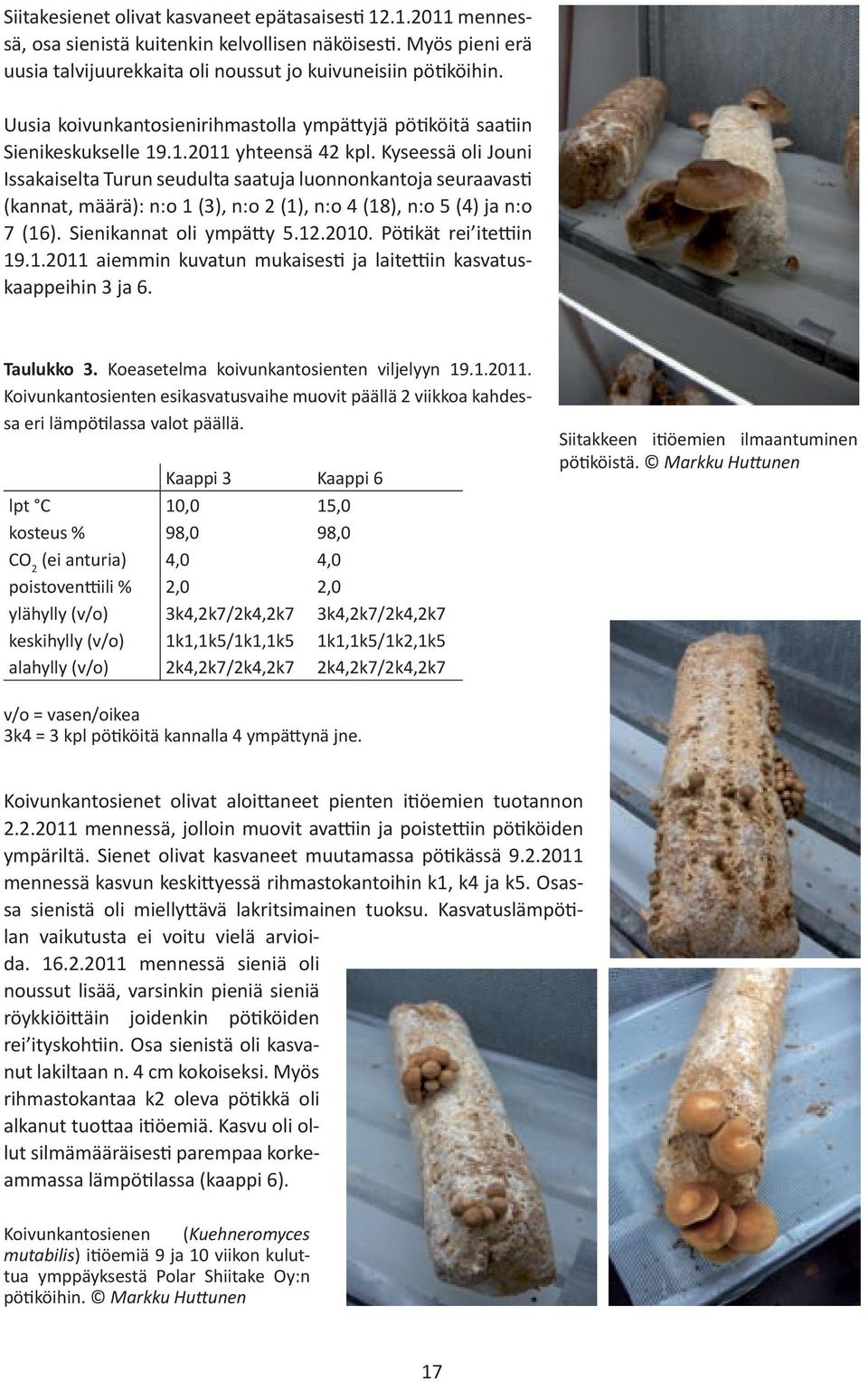 Kyseessä oli Jouni Issakaiselta Turun seudulta saatuja luonnonkantoja seuraavasti (kannat, määrä): n:o 1 (3), n:o 2 (1), n:o 4 (18), n:o 5 (4) ja n:o 7 (16). Sienikannat oli ympätty 5.12.2010.