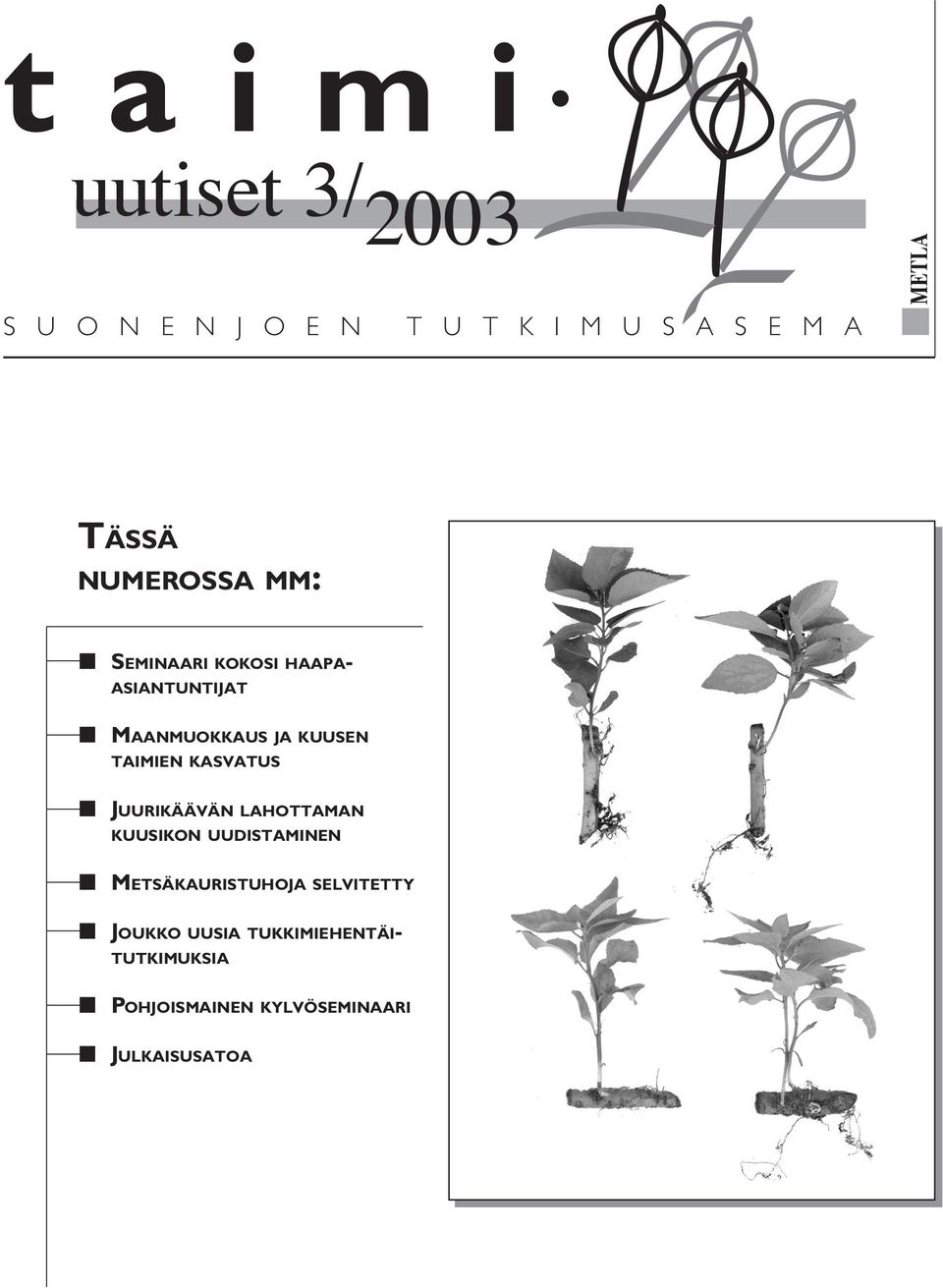 KASVATUS JUURIKÄÄVÄN LAHOTTAMAN KUUSIKON UUDISTAMINEN METSÄKAURISTUHOJA SELVITETTY