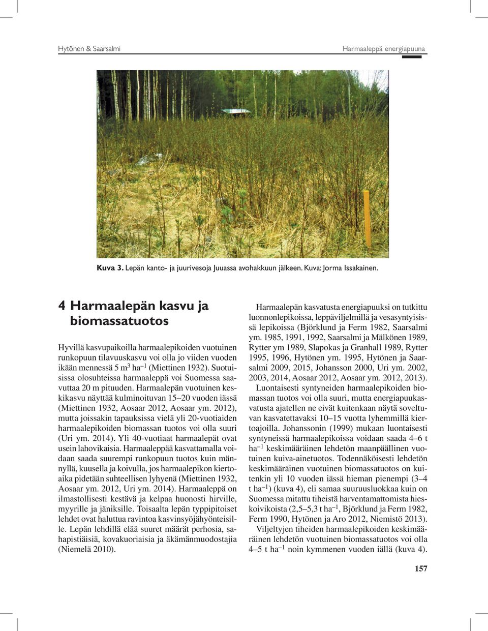 Suotuisissa olosuhteissa harmaaleppä voi Suomessa saavuttaa 20 m pituuden. Harmaalepän vuotuinen keskikasvu näyttää kulminoituvan 15 20 vuoden iässä (Miettinen 1932, Aosaar 2012, Aosaar ym.