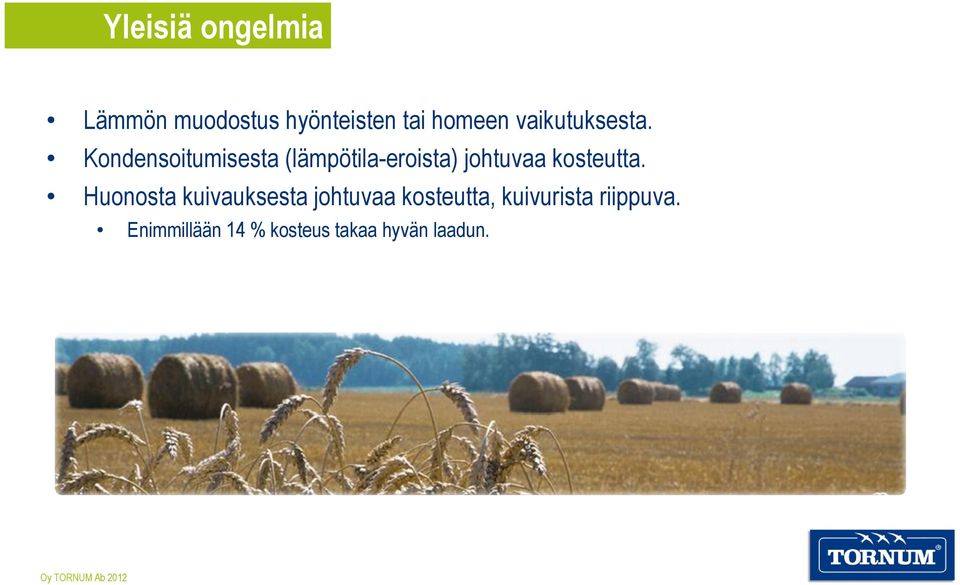 Kondensoitumisesta (lämpötila-eroista) johtuvaa kosteutta.