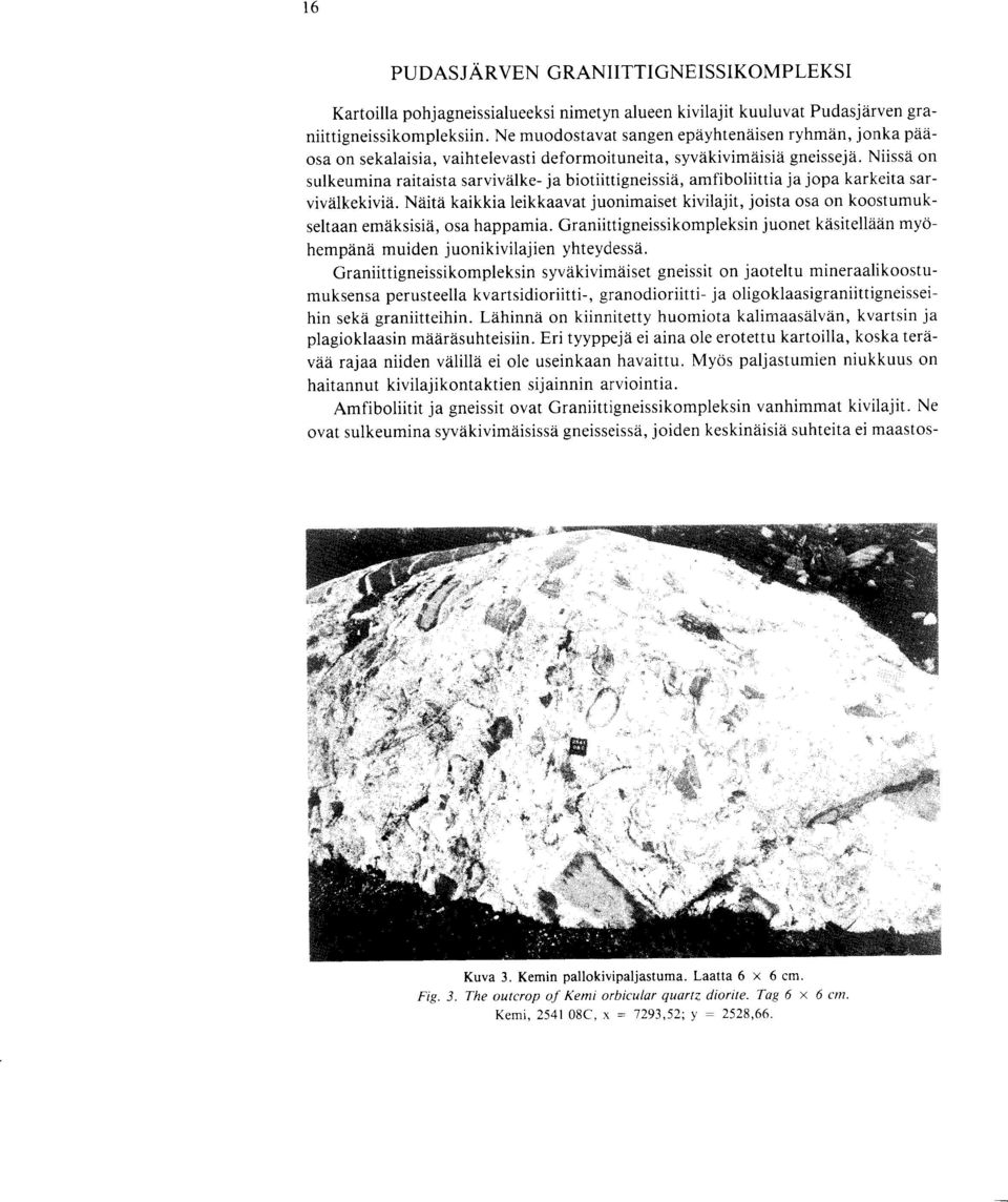 Niissa on sulkeumina raitaista sarvivalke- ja biotiittigneissia, amfiboliittia ja jopa karkeita sarvivalkekivia.