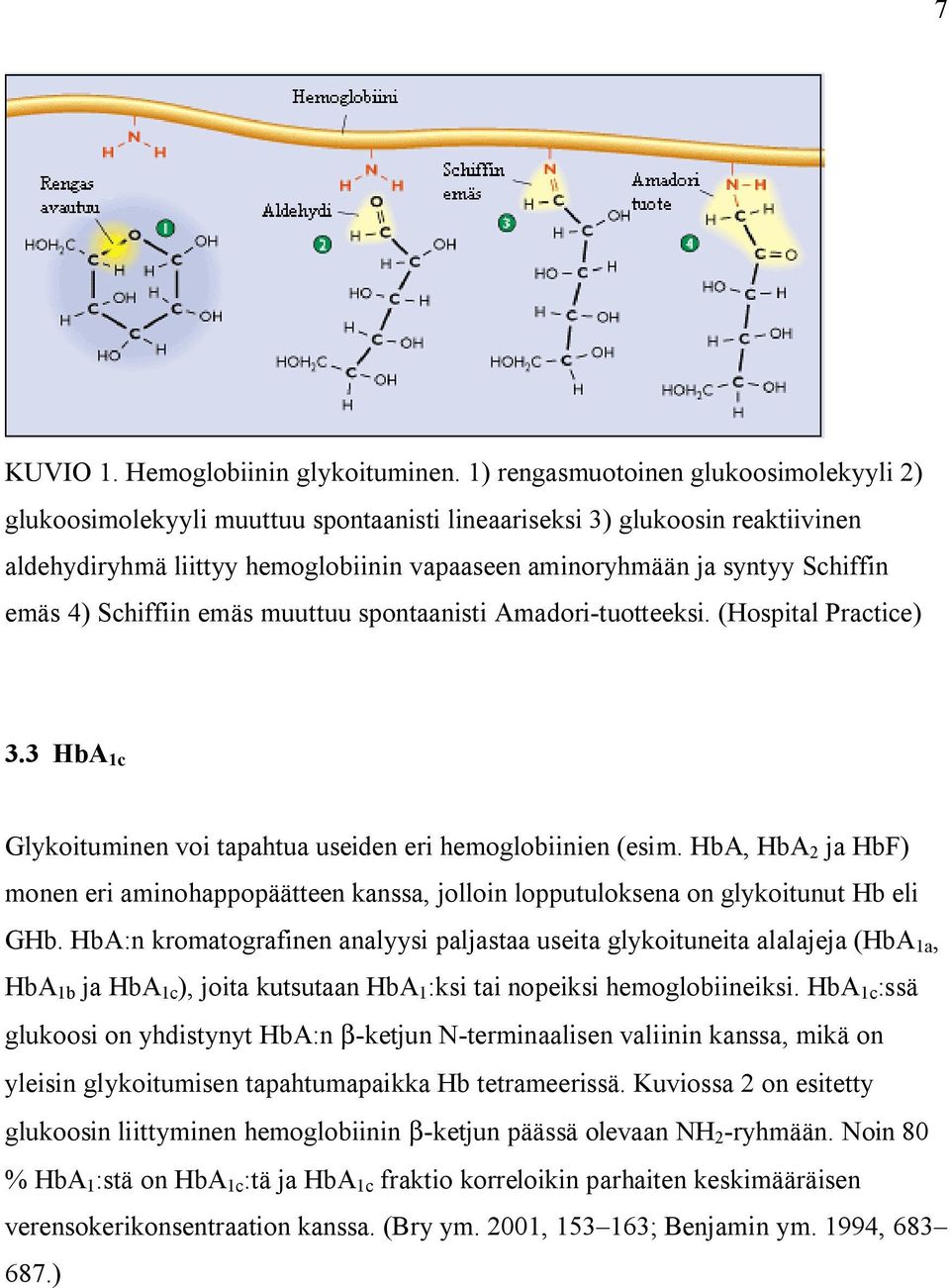 emäs 4) Schiffiin emäs muuttuu spontaanisti Amadori-tuotteeksi. (Hospital Practice) 3.3 HbA 1c Glykoituminen voi tapahtua useiden eri hemoglobiinien (esim.