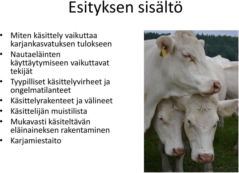 ongelmatilanteet Käsittelyrakenteet ja välineet Käsittelijän muistilista