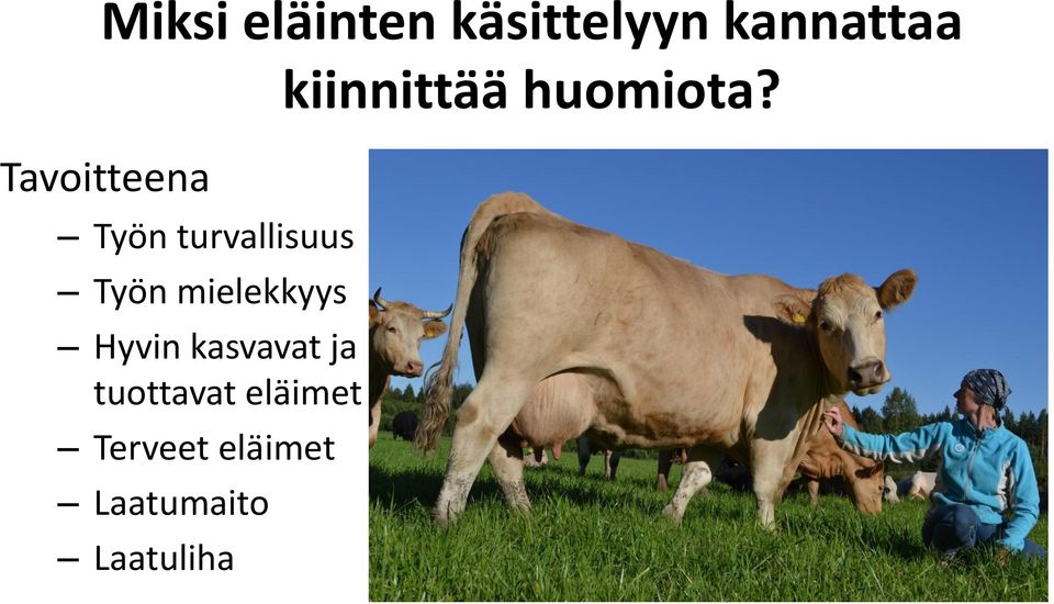 mielekkyys Hyvin kasvavat ja tuottavat