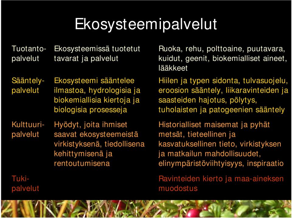 kuidut, geenit, biokemialliset aineet, lääkkeet Hiilen ja typen sidonta, tulvasuojelu, eroosion sääntely, liikaravinteiden ja saasteiden hajotus, pölytys, tuholaisten ja patogeenien sääntely