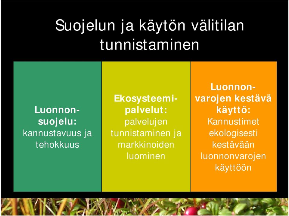 tunnistaminen ja markkinoiden luominen Luonnonvarojen kestävä