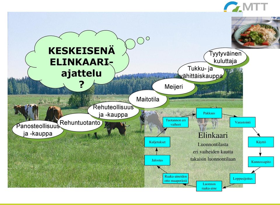 Rehuntuotanto Panosteollisuus ja -kauppa Maitotila Kuljetukset Jalostus Tuotannon eri vaiheet