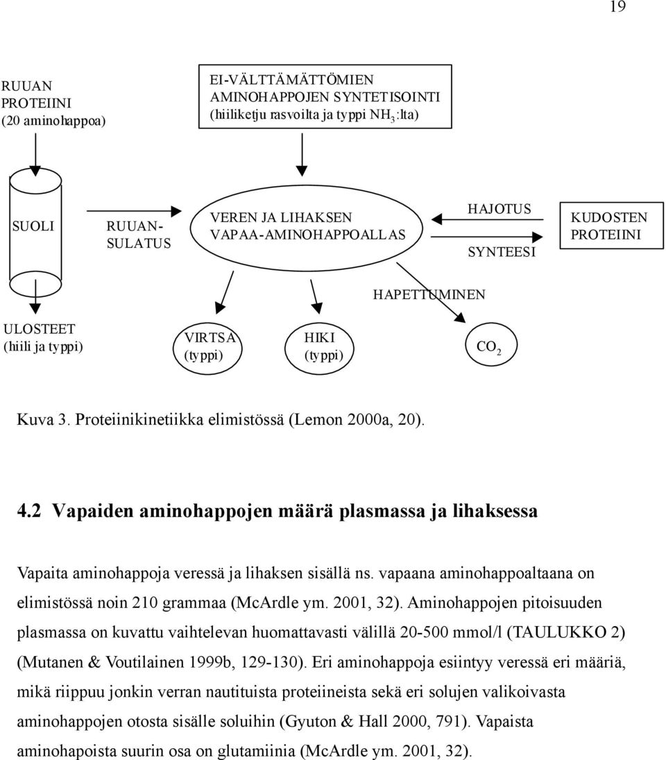 2 Vapaiden aminohappojen määrä plasmassa ja lihaksessa Vapaita aminohappoja veressä ja lihaksen sisällä ns. vapaana aminohappoaltaana on elimistössä noin 210 grammaa (McArdle ym. 2001, 32).