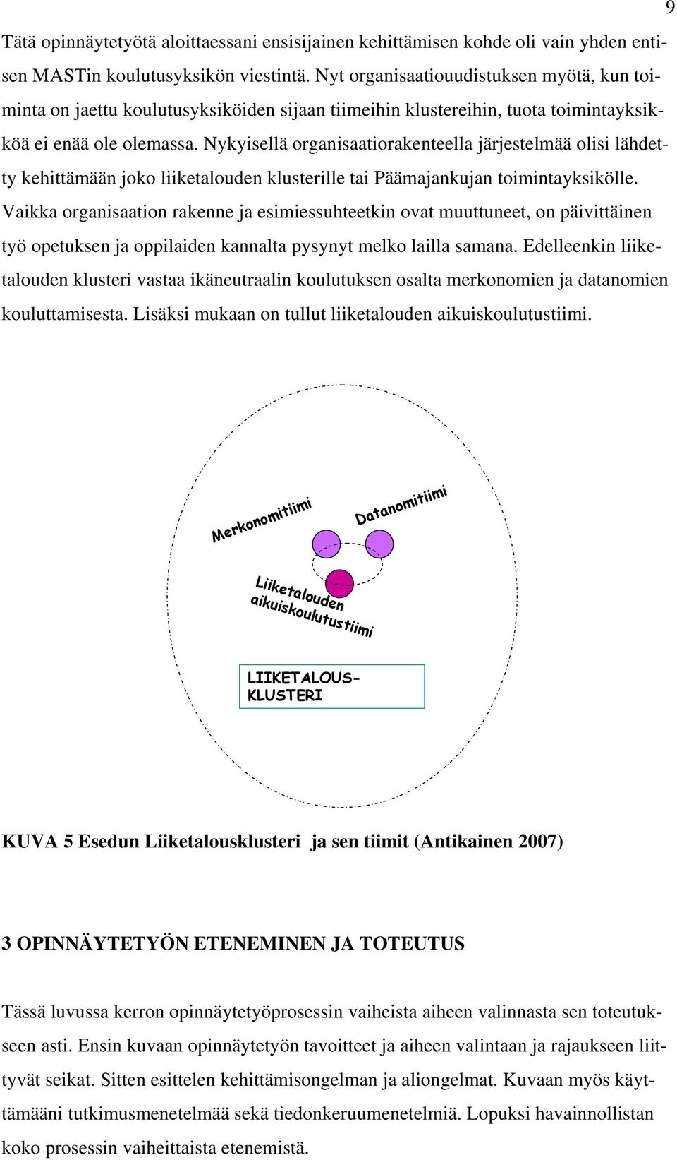 Nykyisellä organisaatiorakenteella järjestelmää olisi lähdetty kehittämään joko liiketalouden klusterille tai Päämajankujan toimintayksikölle.