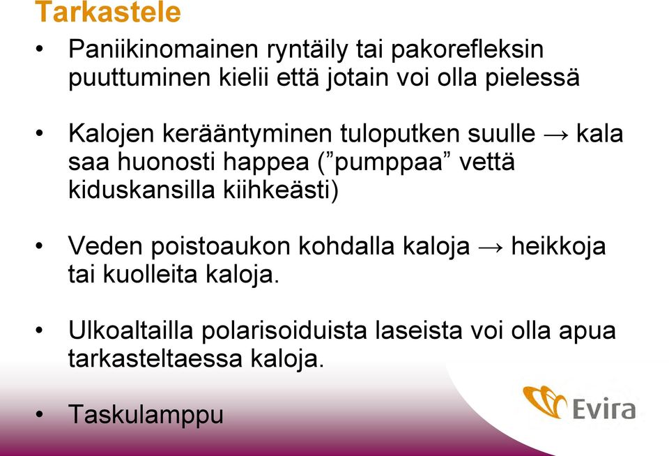 vettä kiduskansilla kiihkeästi) Veden poistoaukon kohdalla kaloja heikkoja tai kuolleita