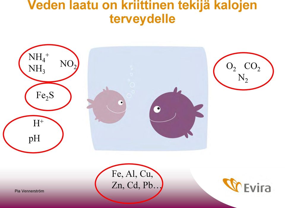 NO 2 O 2 CO 2 N 2 Fe 2 S H + ph