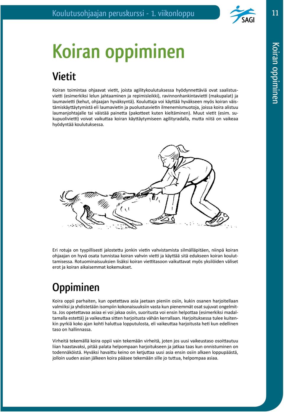 Kouluttaja voi käyttää hyväkseen myös koiran väistämiskäyttäytymistä eli laumavietin ja puolustusvietin ilmenemismuotoja, joissa koira alistuu laumanjohtajalle tai väistää painetta (pakotteet kuten