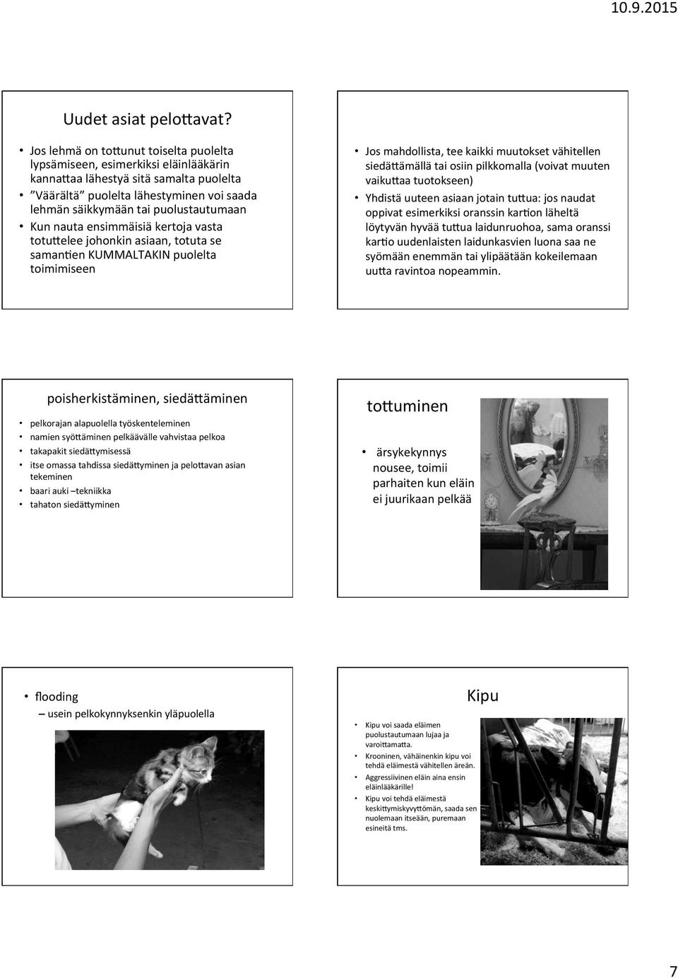 Kun nauta ensimmäisiä kertoja vasta totudelee johonkin asiaan, totuta se saman7en KUMMALTAKIN puolelta toimimiseen Jos mahdollista, tee kaikki muutokset vähitellen siedädämällä tai osiin pilkkomalla