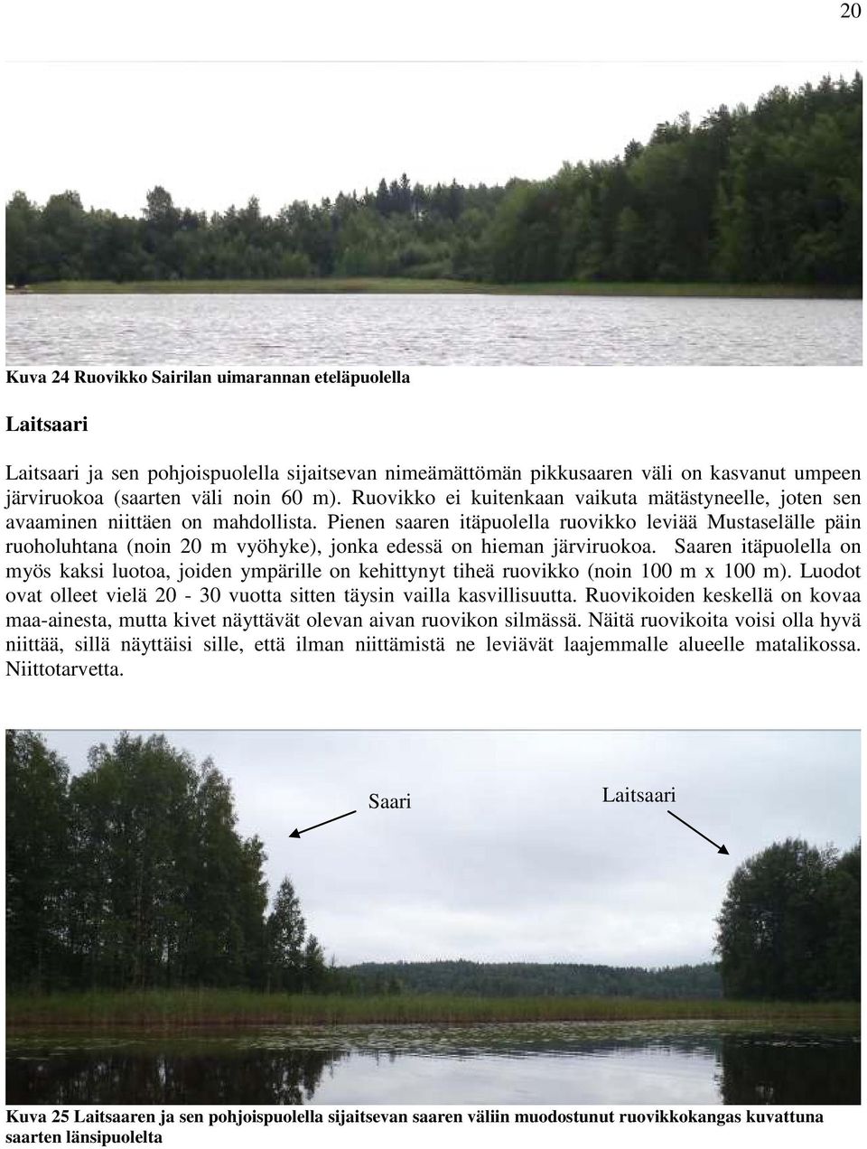 Pienen saaren itäpuolella ruovikko leviää Mustaselälle päin ruoholuhtana (noin 20 m vyöhyke), jonka edessä on hieman järviruokoa.