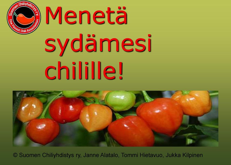 Suomen Chiliyhdistys