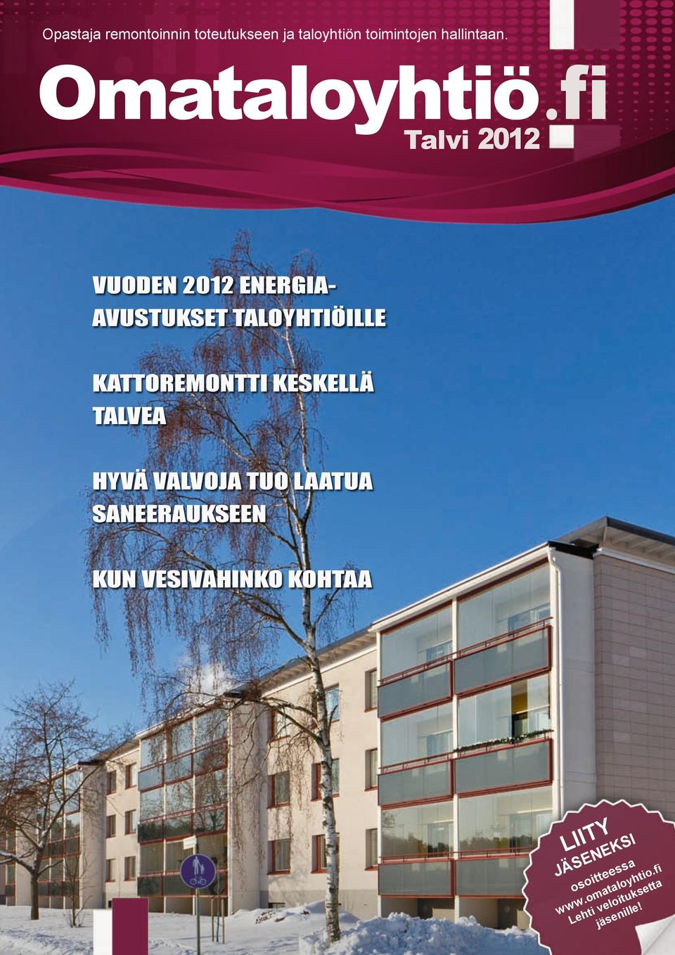 fi Talvi 2012 Vuoden 2012 energiaavustukset taloyhtiöille Kattoremontti keskellä