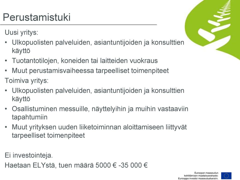 asiantuntijoiden ja konsulttien käyttö Osallistuminen messuille, näyttelyihin ja muihin vastaaviin tapahtumiin Muut