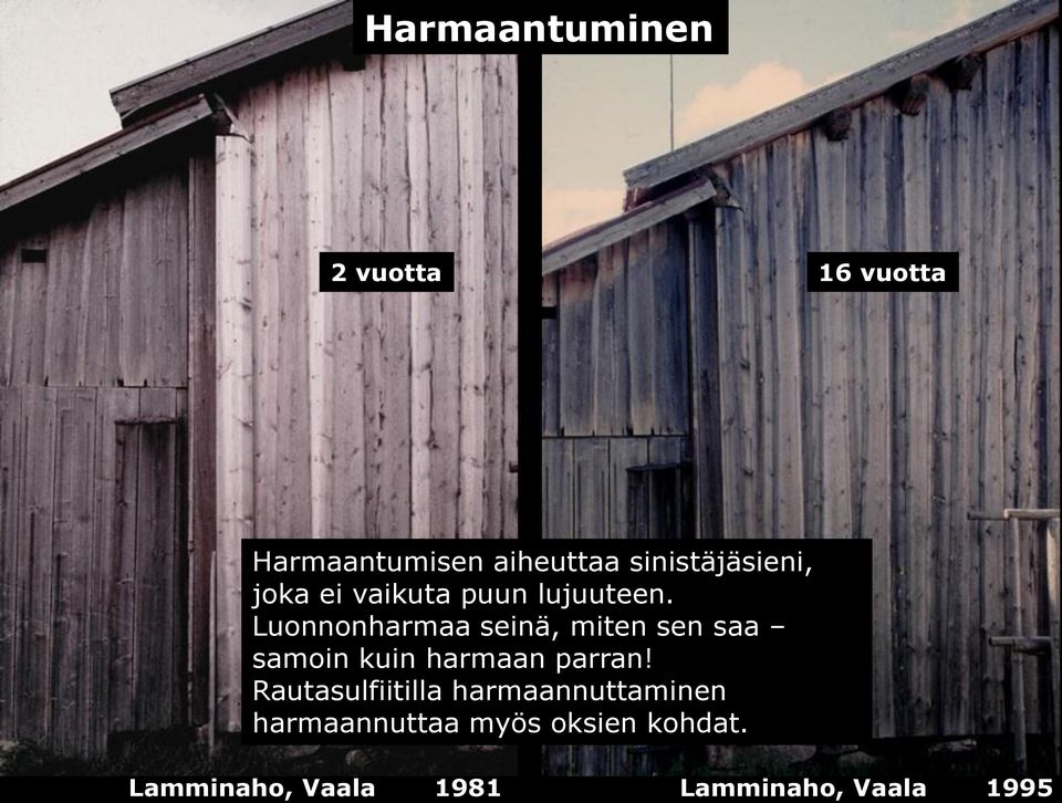 Luonnonharmaa seinä, miten sen saa samoin kuin harmaan parran!