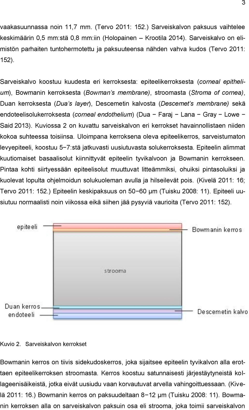 Sarveiskalvo koostuu kuudesta eri kerroksesta: epiteelikerroksesta (corneal epithelium), Bowmanin kerroksesta (Bowman s membrane), stroomasta (Stroma of cornea), Duan kerroksesta (Dua s layer),