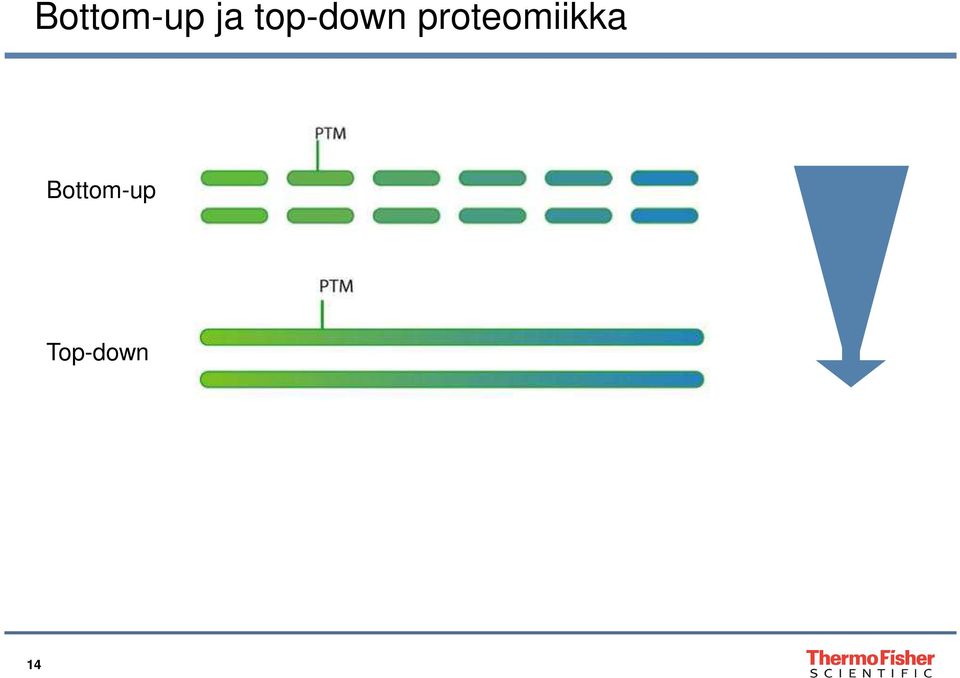 proteomiikka