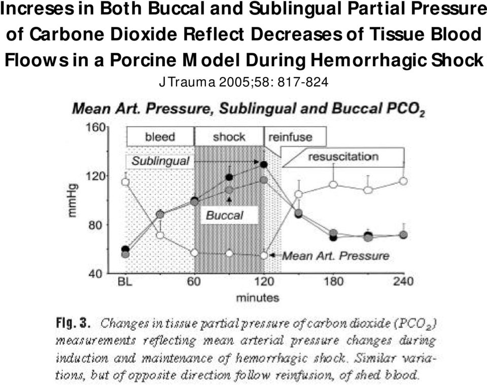 of Tissue Blood Floows in a Porcine Model