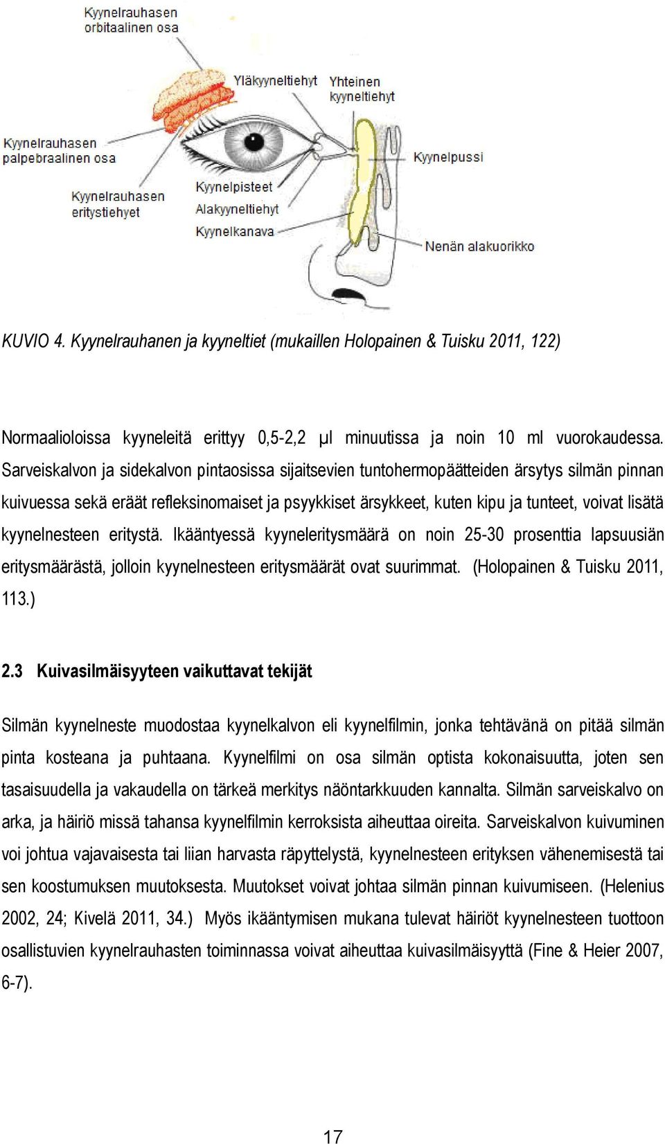 kyynelnesteen eritystä. Ikääntyessä kyyneleritysmäärä on noin 25-30 prosenttia lapsuusiän eritysmäärästä, jolloin kyynelnesteen eritysmäärät ovat suurimmat. (Holopainen & Tuisku 2011, 113.) 2.