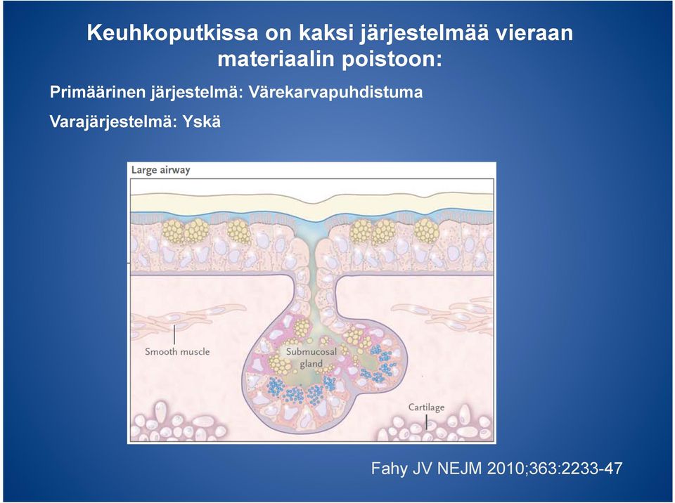 Primäärinen järjestelmä: